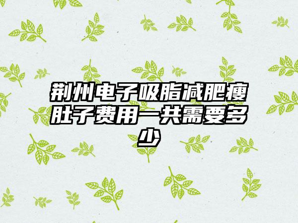 荆州电子吸脂减肥瘦肚子费用一共需要多少