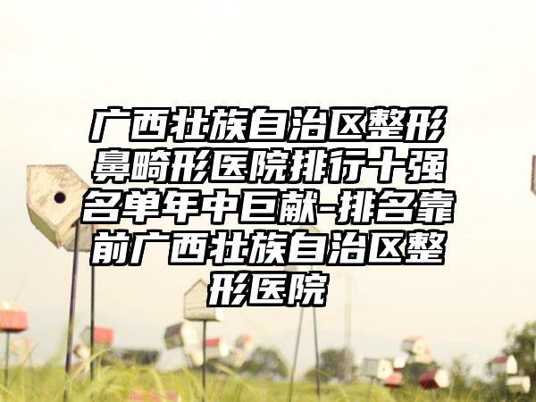广西壮族自治区整形鼻畸形医院排行十强名单年中巨献-排名靠前广西壮族自治区整形医院