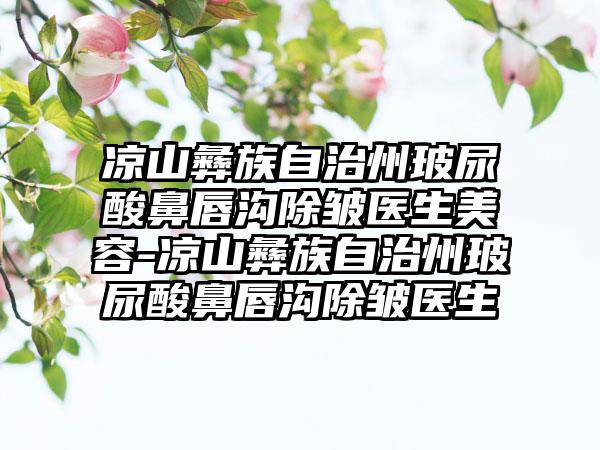 凉山彝族自治州玻尿酸鼻唇沟除皱医生美容-凉山彝族自治州玻尿酸鼻唇沟除皱医生