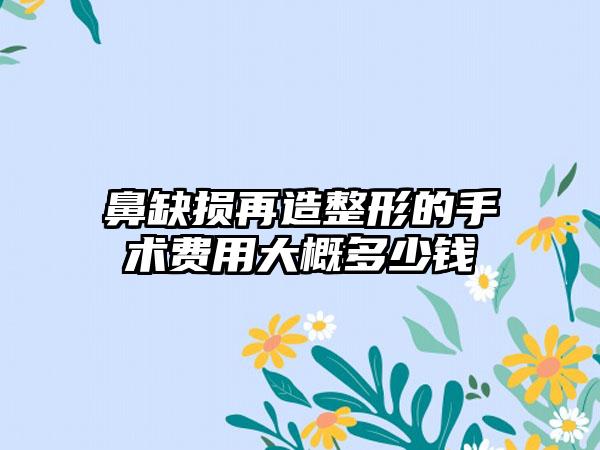 鼻缺损再造整形的手术费用大概多少钱