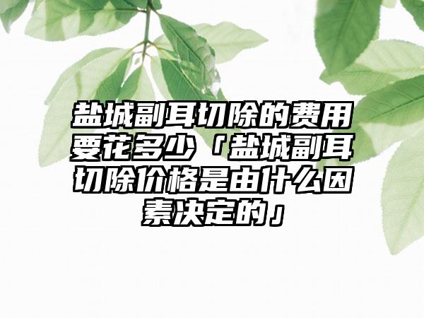 盐城副耳切除的费用要花多少「盐城副耳切除价格是由什么因素决定的」