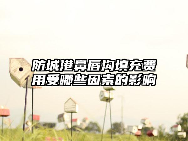 防城港鼻唇沟填充费用受哪些因素的影响