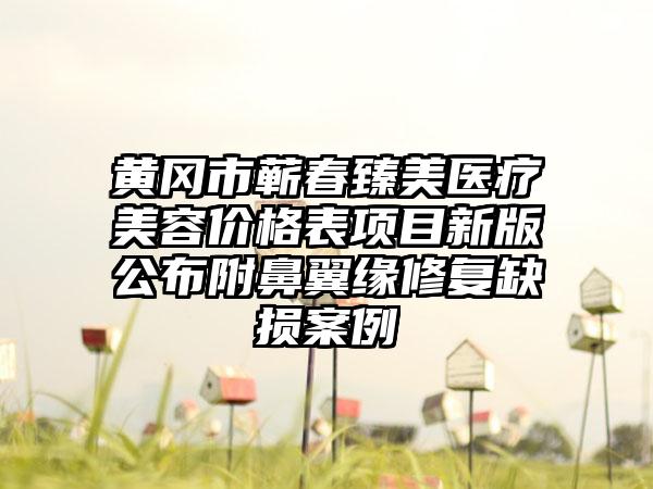 黄冈市蕲春臻美医疗美容价格表项目新版公布附鼻翼缘修复缺损案例
