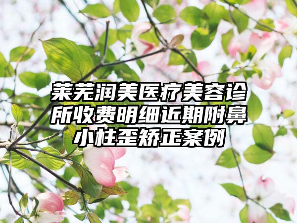 莱芜润美医疗美容诊所收费明细近期附鼻小柱歪矫正案例