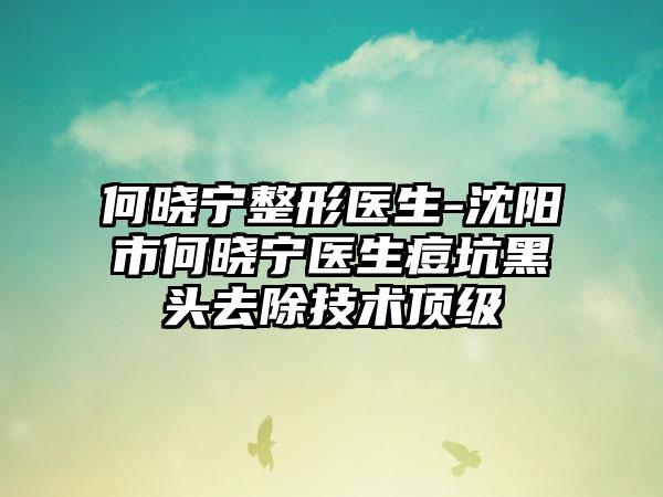 何晓宁整形医生-沈阳市何晓宁医生痘坑黑头去除技术顶级