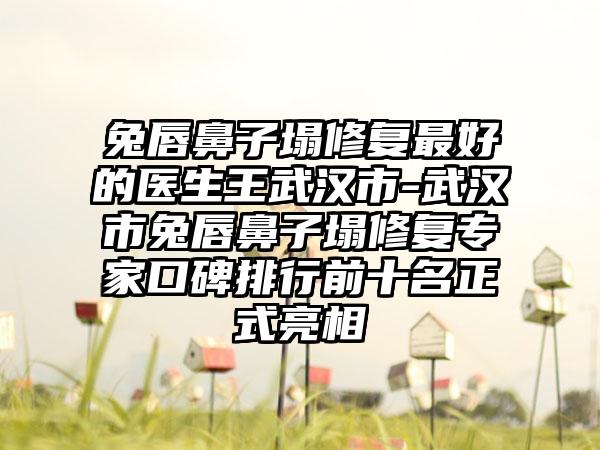 兔唇鼻子塌修复最好的医生王武汉市-武汉市兔唇鼻子塌修复专家口碑排行前十名正式亮相