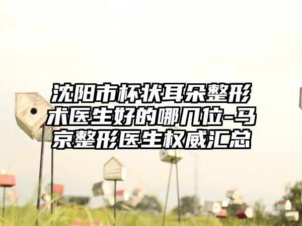 沈阳市杯状耳朵整形术医生好的哪几位-马京整形医生权威汇总