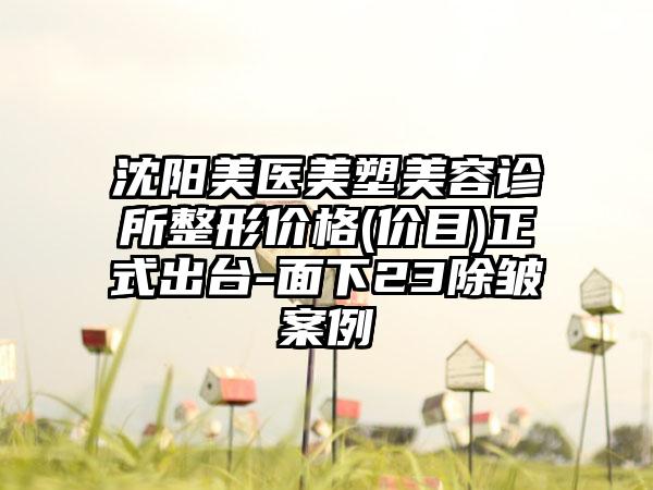 沈阳美医美塑美容诊所整形价格(价目)正式出台-面下23除皱案例