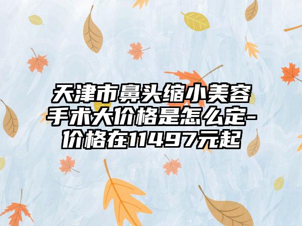 天津市鼻头缩小美容手术大价格是怎么定-价格在11497元起