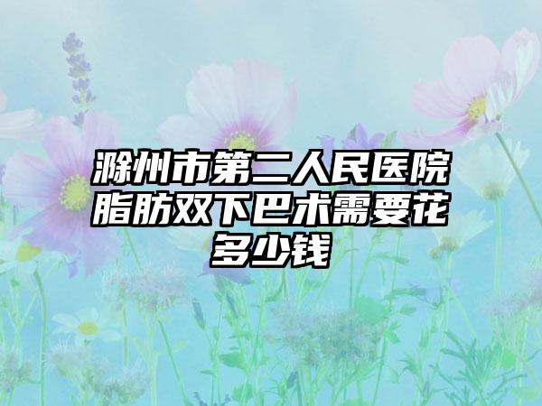 滁州市第二人民医院脂肪双下巴术需要花多少钱