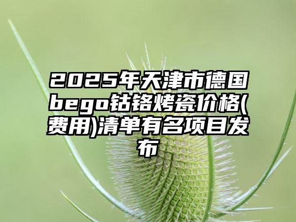2025年天津市德国bego钴铬烤瓷价格(费用)清单有名项目发布