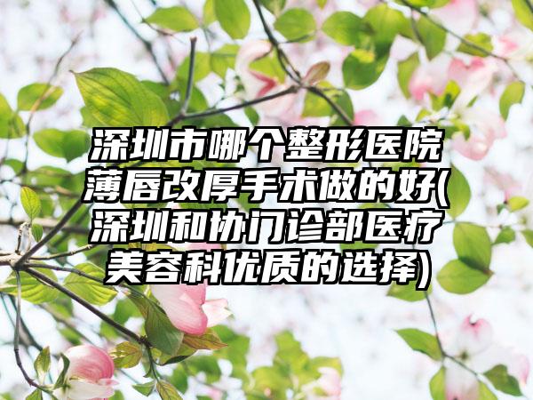 深圳市哪个整形医院薄唇改厚手术做的好(深圳和协门诊部医疗美容科优质的选择)