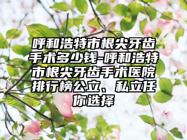 呼和浩特市根尖牙齿手术多少钱-呼和浩特市根尖牙齿手术医院排行榜公立、私立任你选择
