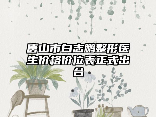 唐山市白志鹏整形医生价格价位表正式出台