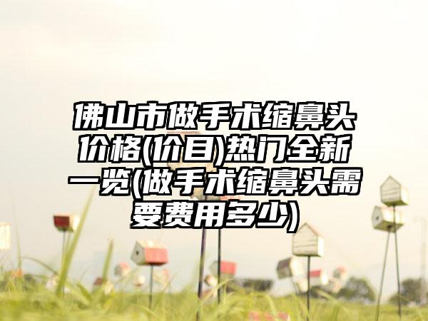 佛山市做手术缩鼻头价格(价目)热门全新一览(做手术缩鼻头需要费用多少)