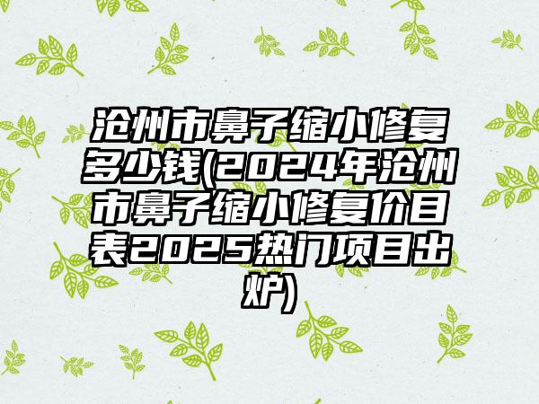 沧州市鼻子缩小修复多少钱(2024年沧州市鼻子缩小修复价目表2025热门项目出炉)