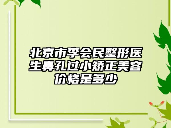 北京市李会民整形医生鼻孔过小矫正美容价格是多少