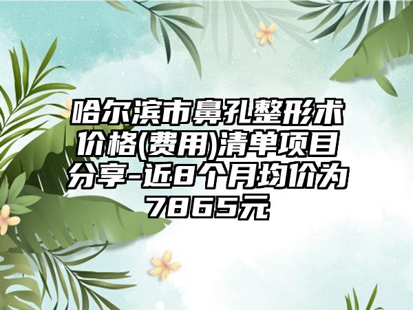 哈尔滨市鼻孔整形术价格(费用)清单项目分享-近8个月均价为7865元