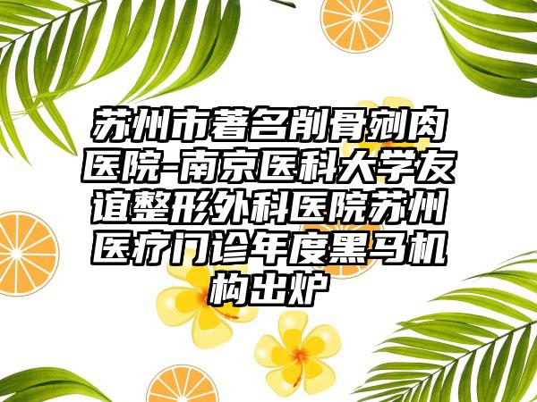 苏州市著名削骨剜肉医院-南京医科大学友谊整形外科医院苏州医疗门诊年度黑马机构出炉