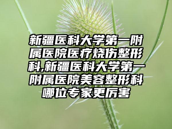 新疆医科大学第一附属医院医疗烧伤整形科,新疆医科大学第一附属医院美容整形科哪位专家更厉害