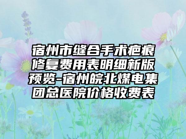 宿州市缝合手术疤痕修复费用表明细新版预览-宿州皖北煤电集团总医院价格收费表