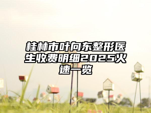 桂林市叶向东整形医生收费明细2025火速一览