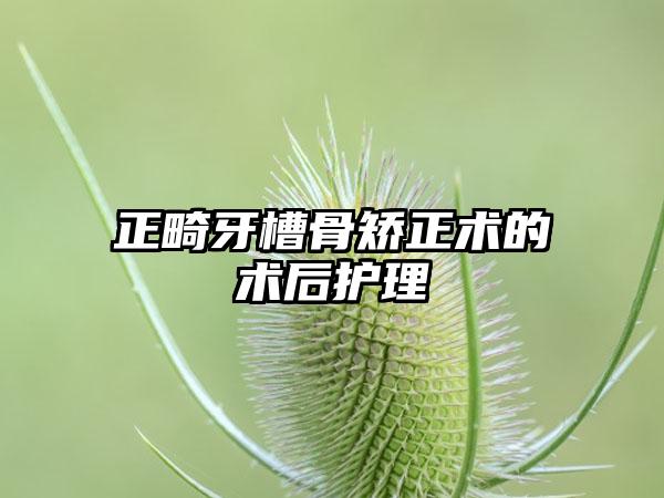 正畸牙槽骨矫正术的术后护理