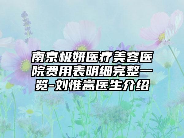 南京极妍医疗美容医院费用表明细完整一览-刘惟嵩医生介绍