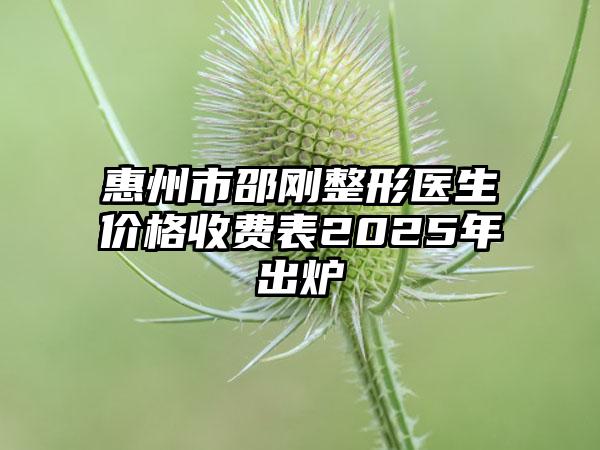 惠州市邵刚整形医生价格收费表2025年出炉