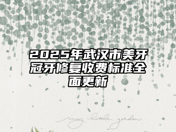 2025年武汉市美牙冠牙修复收费标准全面更新