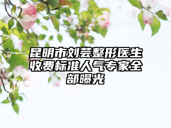 昆明市刘芸整形医生收费标准人气专家全部曝光