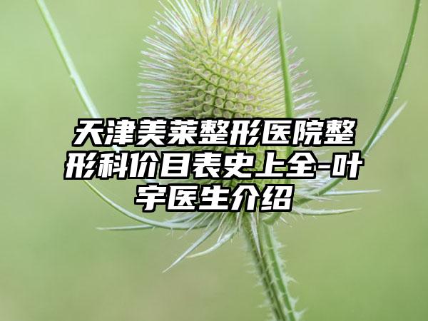 天津美莱整形医院整形科价目表史上全-叶宇医生介绍