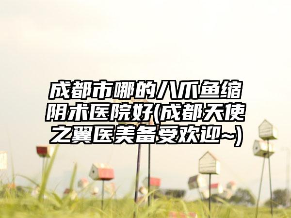 成都市哪的八爪鱼缩阴术医院好(成都天使之翼医美备受欢迎~)