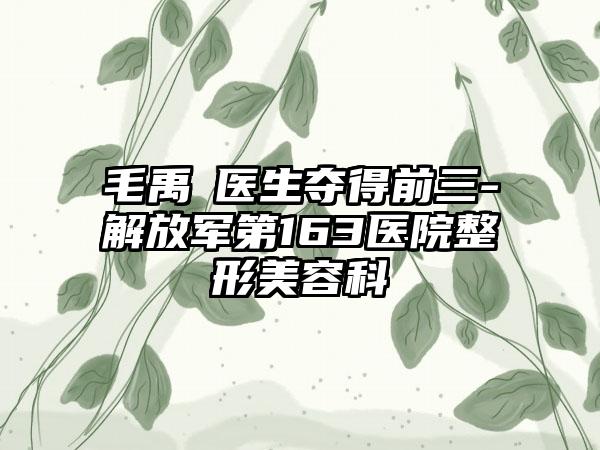毛禹‌医生夺得前三-解放军第163医院整形美容科