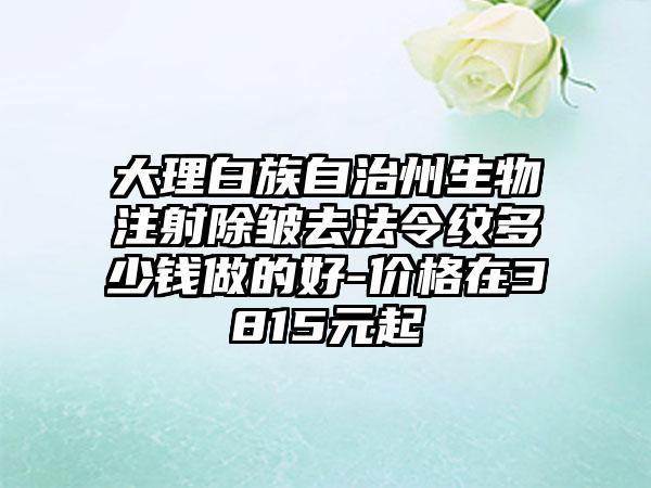 大理白族自治州生物注射除皱去法令纹多少钱做的好-价格在3815元起