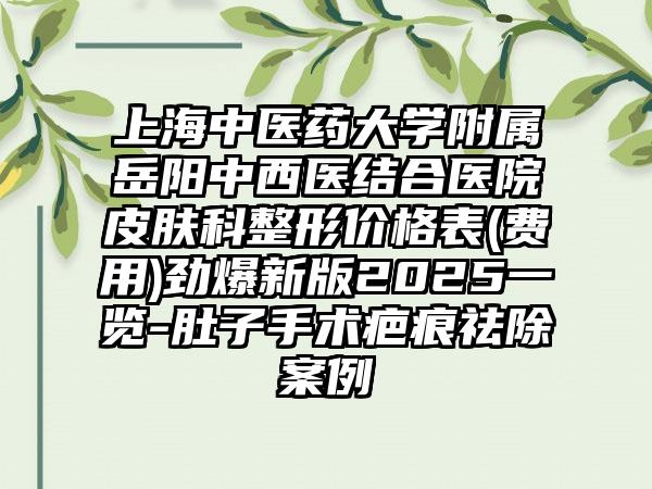 上海中医药大学附属岳阳中西医结合医院皮肤科整形价格表(费用)劲爆新版2025一览-肚子手术疤痕祛除案例