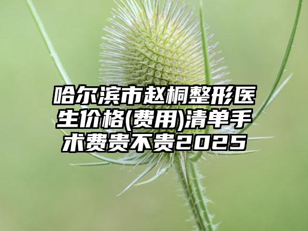 哈尔滨市赵桐整形医生价格(费用)清单手术费贵不贵2025