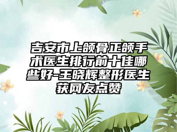 吉安市上颌骨正颌手术医生排行前十佳哪些好-王晓辉整形医生获网友点赞
