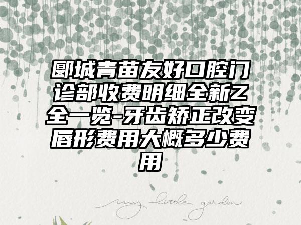郾城青苗友好口腔门诊部收费明细全新Z全一览-牙齿矫正改变唇形费用大概多少费用