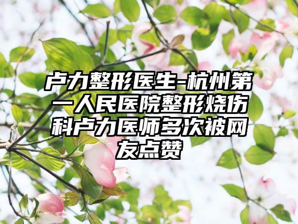 卢力整形医生-杭州第一人民医院整形烧伤科卢力医师多次被网友点赞