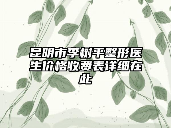 昆明市李树平整形医生价格收费表详细在此