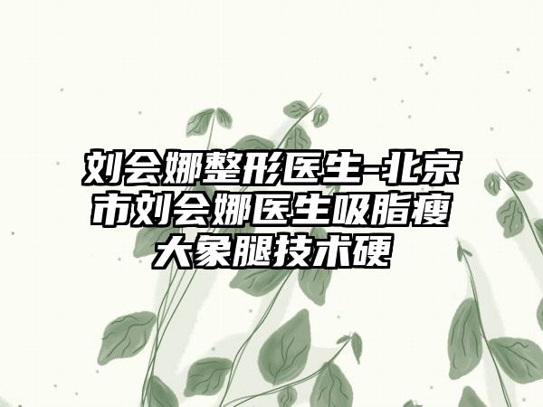 刘会娜整形医生-北京市刘会娜医生吸脂瘦大象腿技术硬