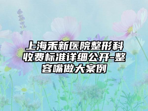 上海禾新医院整形科收费标准详细公开-整容嘴做大案例