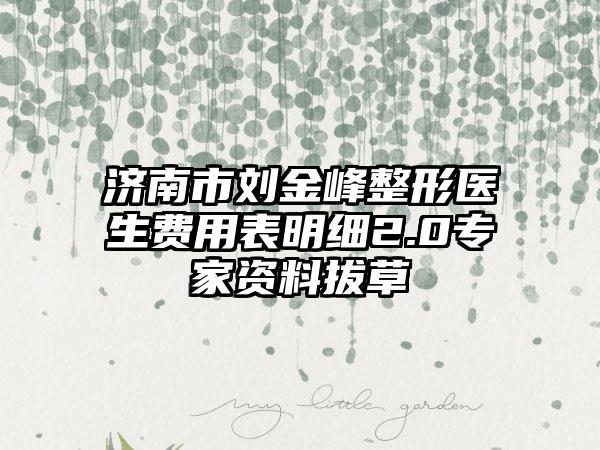 济南市刘金峰整形医生费用表明细2.0专家资料拔草