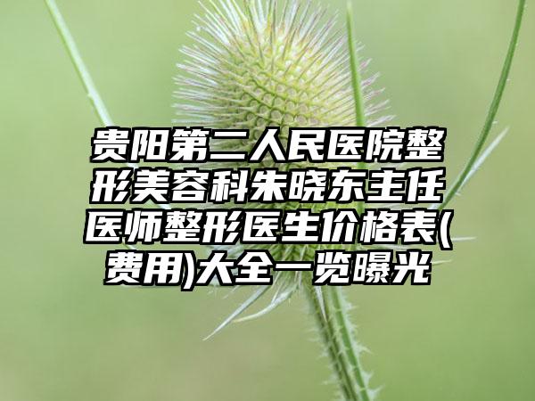 贵阳第二人民医院整形美容科朱晓东主任医师整形医生价格表(费用)大全一览曝光
