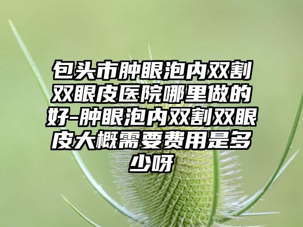 包头市肿眼泡内双割双眼皮医院哪里做的好-肿眼泡内双割双眼皮大概需要费用是多少呀