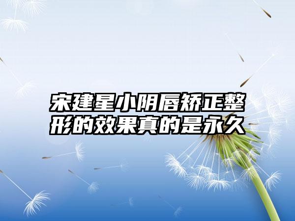 宋建星小阴唇矫正整形的效果真的是永久