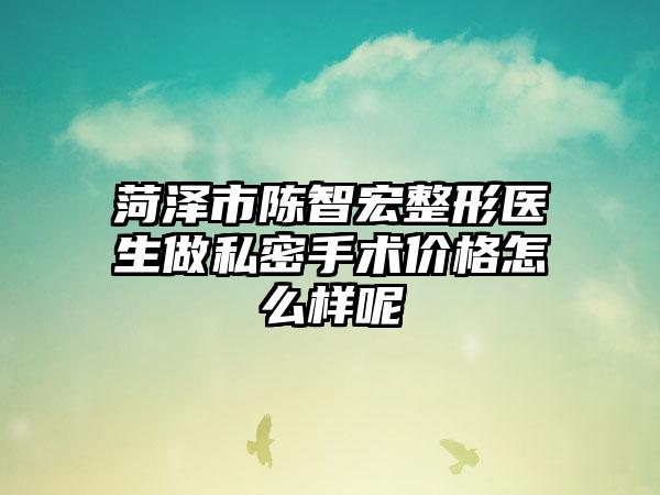菏泽市陈智宏整形医生做私密手术价格怎么样呢