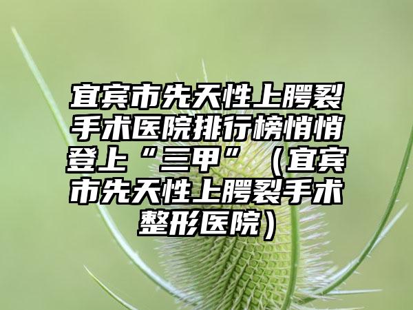 宜宾市先天性上腭裂手术医院排行榜悄悄登上“三甲”（宜宾市先天性上腭裂手术整形医院）