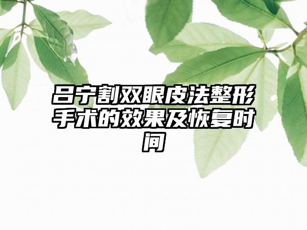 吕宁割双眼皮法整形手术的效果及恢复时间